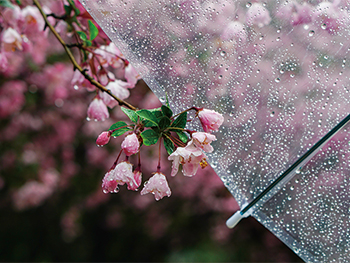 怎样在雨天拍摄宣传片时有效地利用光线