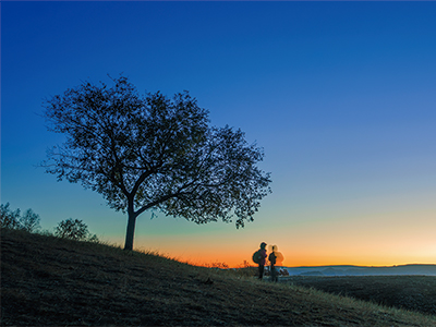 品牌宣传片的制作让故事在光影中绽放