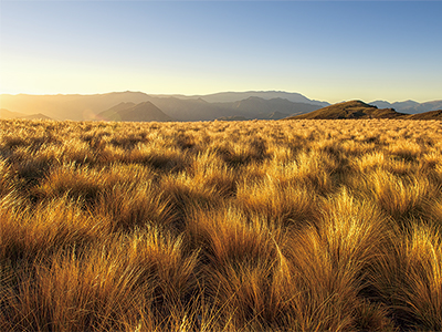 影视广告制作使品牌在镜头前熠熠生辉