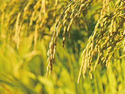 公司形象片制作使品牌在镜头中拥有灵魂